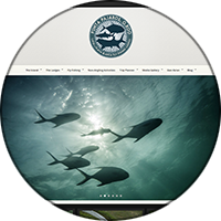 CasaBlanca Fly Fishing
